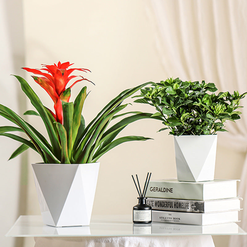 Nordic Style Diamond Planter Set for Money Plant and Lucky Tree - Ceramic and Resin Material, Easy to Use and Decorate Your Space-ALB