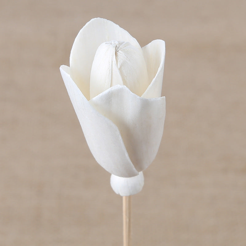 The Jasmine Bloom: Paperplant Reed Diffuser.-ALB