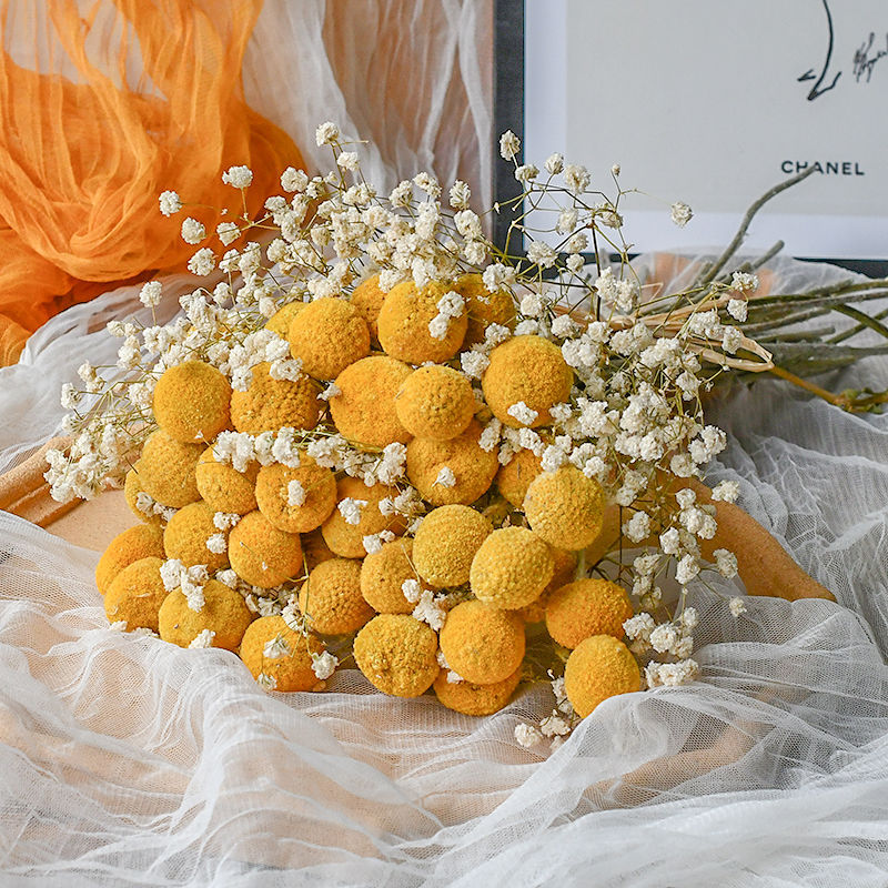 Craspedia Billy Balls Dried Flower Bouquet - Golden Drumstick Flower Arrangement for Home Decor, Wedding Centerpiece and Table Ornaments -ALB