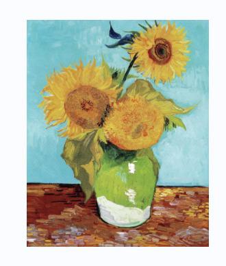 Elegant Floral Digital Painting by Numbers - Features Delicate Daisies in a Landscape, DIY Hand-Painted Masterpiece to Brighten Your Home Decor-ALB