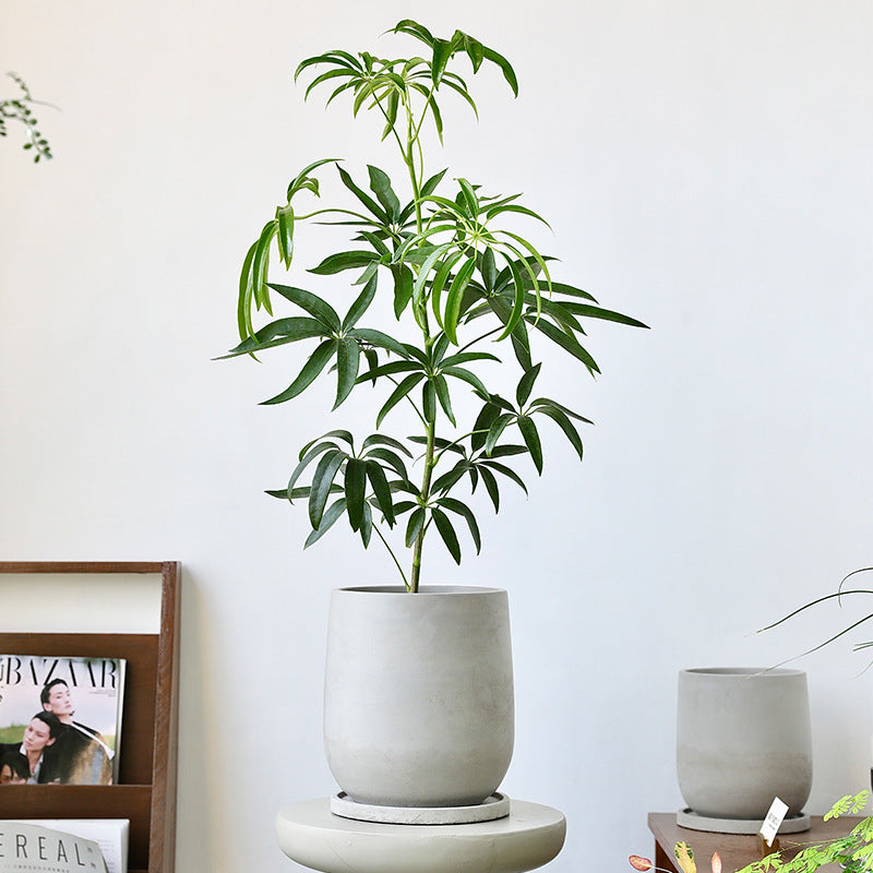Urban Jungle Fake Potted Plants - Set of Lifelike Artificial Greenery with Metal & Stone Textured Planters, Low-Maintenance Solution for Industrial Chic Interiors-ALB