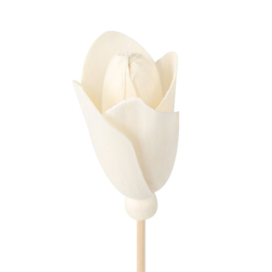 The Jasmine Bloom: Paperplant Reed Diffuser.-ALB