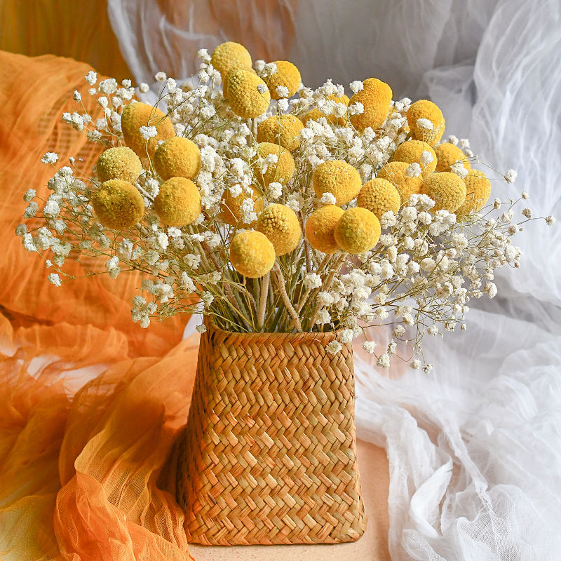 Craspedia Billy Balls Dried Flower Bouquet - Golden Drumstick Flower Arrangement for Home Decor, Wedding Centerpiece and Table Ornaments -ALB