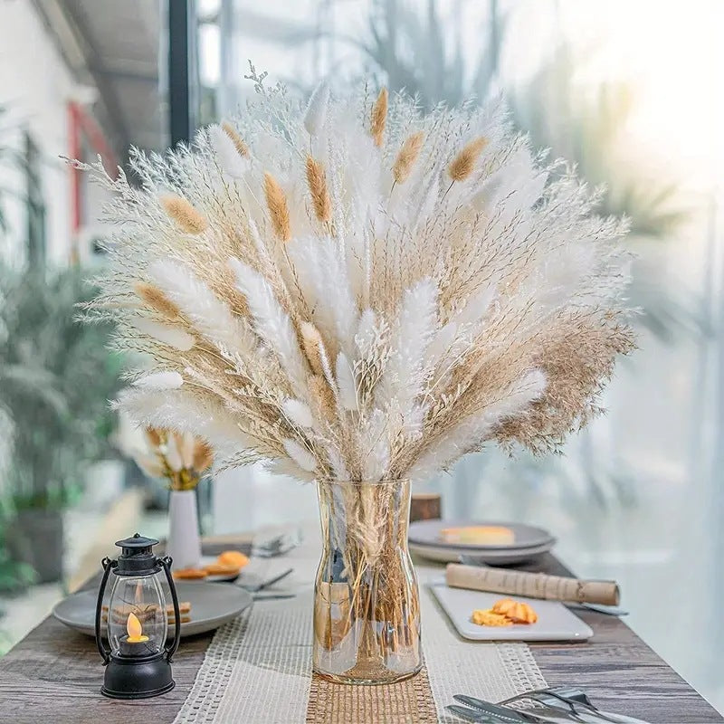 Miniature Reed Dried Flower Bundle - Boho Chic Wedding and Home Decor, Natural Textured Arrangement for Table Settings-ALB