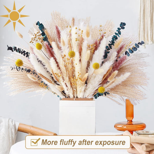 Miniature Reed Dried Flower Bundle - Boho Chic Wedding and Home Decor, Natural Textured Arrangement for Table Settings-ALB
