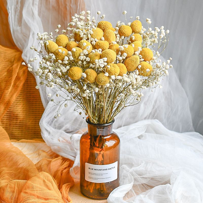 Craspedia Billy Balls Dried Flower Bouquet - Golden Drumstick Flower Arrangement for Home Decor, Wedding Centerpiece and Table Ornaments -ALB