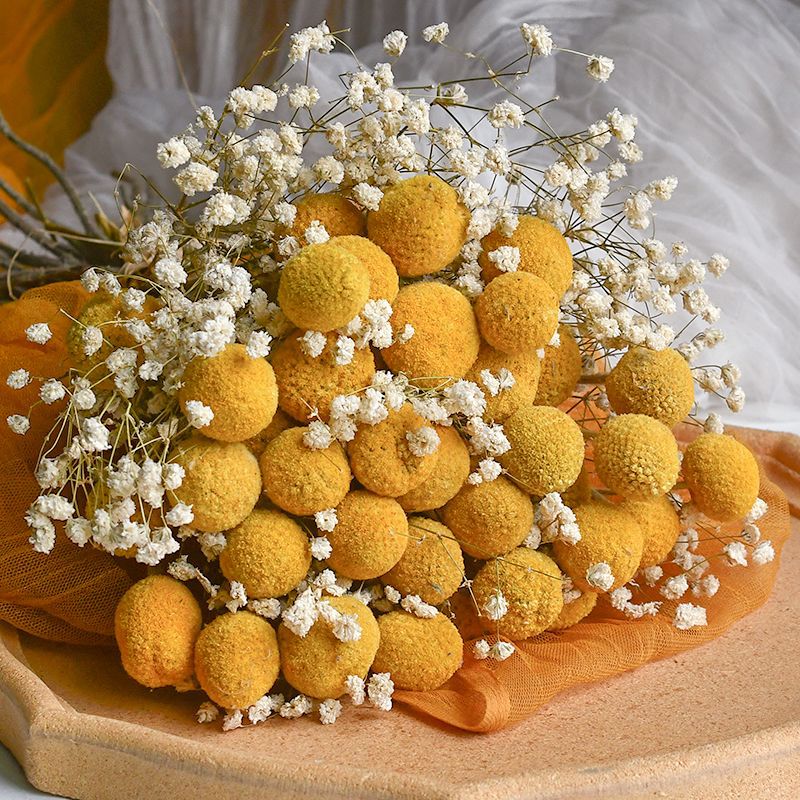 Craspedia Billy Balls Dried Flower Bouquet - Golden Drumstick Flower Arrangement for Home Decor, Wedding Centerpiece and Table Ornaments -ALB