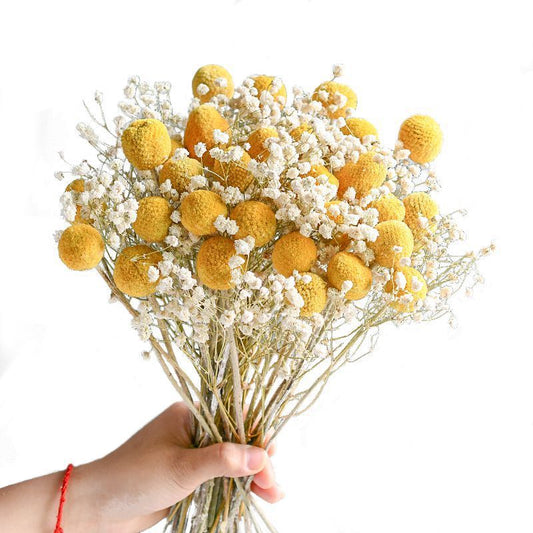 Craspedia Billy Balls Dried Flower Bouquet - Golden Drumstick Flower Arrangement for Home Decor, Wedding Centerpiece and Table Ornaments -ALB