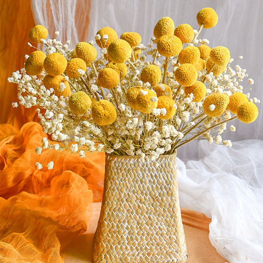 Craspedia Billy Balls Dried Flower Bouquet - Golden Drumstick Flower Arrangement for Home Decor, Wedding Centerpiece and Table Ornaments -ALB