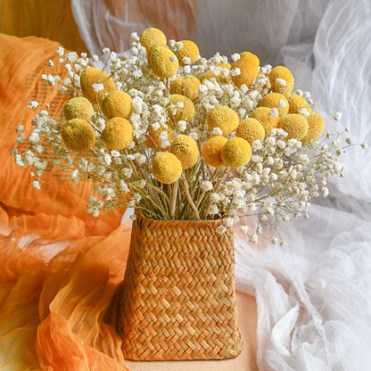 Craspedia Billy Balls Dried Flower Bouquet - Golden Drumstick Flower Arrangement for Home Decor, Wedding Centerpiece and Table Ornaments -ALB