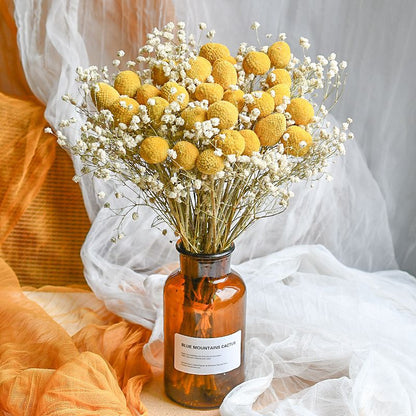 Craspedia Billy Balls Dried Flower Bouquet - Golden Drumstick Flower Arrangement for Home Decor, Wedding Centerpiece and Table Ornaments -ALB