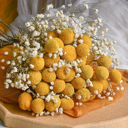 Craspedia Billy Balls Dried Flower Bouquet - Golden Drumstick Flower Arrangement for Home Decor, Wedding Centerpiece and Table Ornaments -ALB